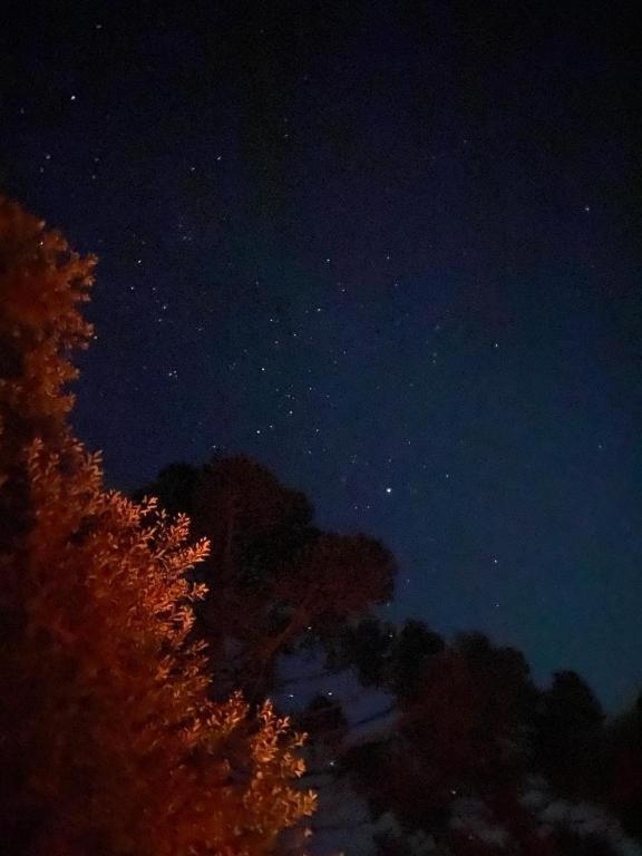 Recanto Luz Da Serra Urubici Eksteriør bilde