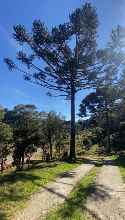 Recanto Luz Da Serra Urubici Eksteriør bilde