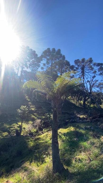 Recanto Luz Da Serra Urubici Eksteriør bilde